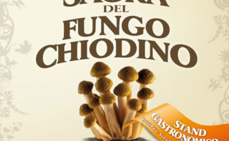 funghi dello