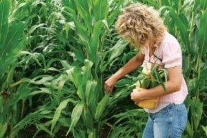 agricoltura sempre più rosa