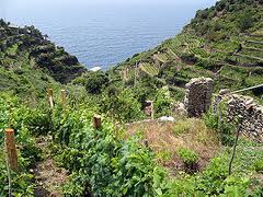 liguria banva regionale agricoltura