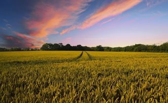 agricoltura pratiche burocratiche