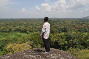 La foresta di MilanoVino per il Camerun