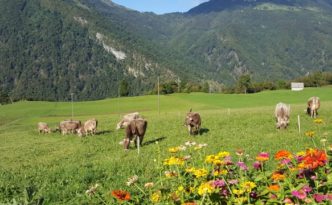 Slovenia_viaggio con la UE Agricoltura